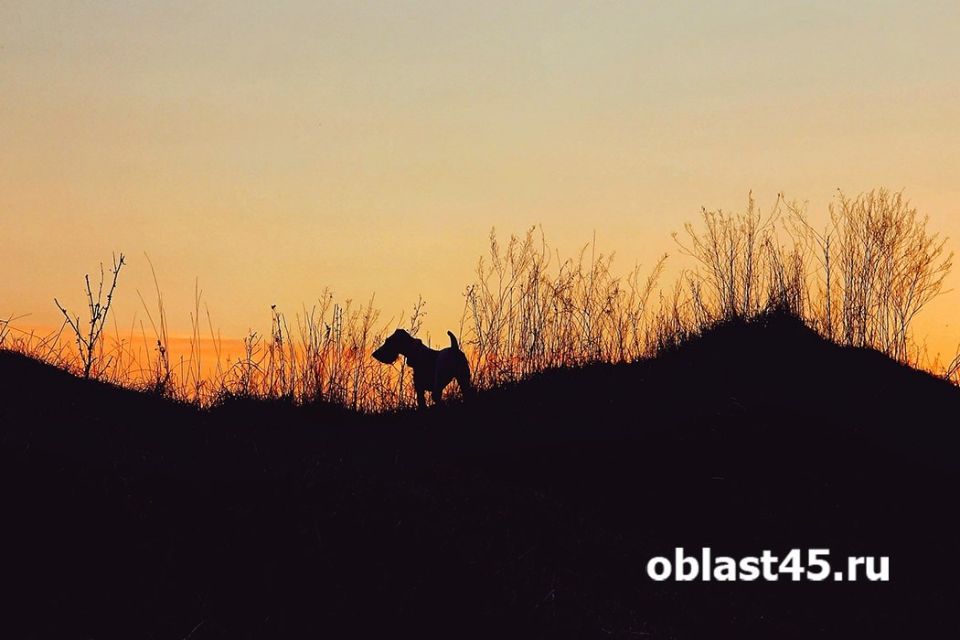 ����� ����� ���� �������� �� ���������