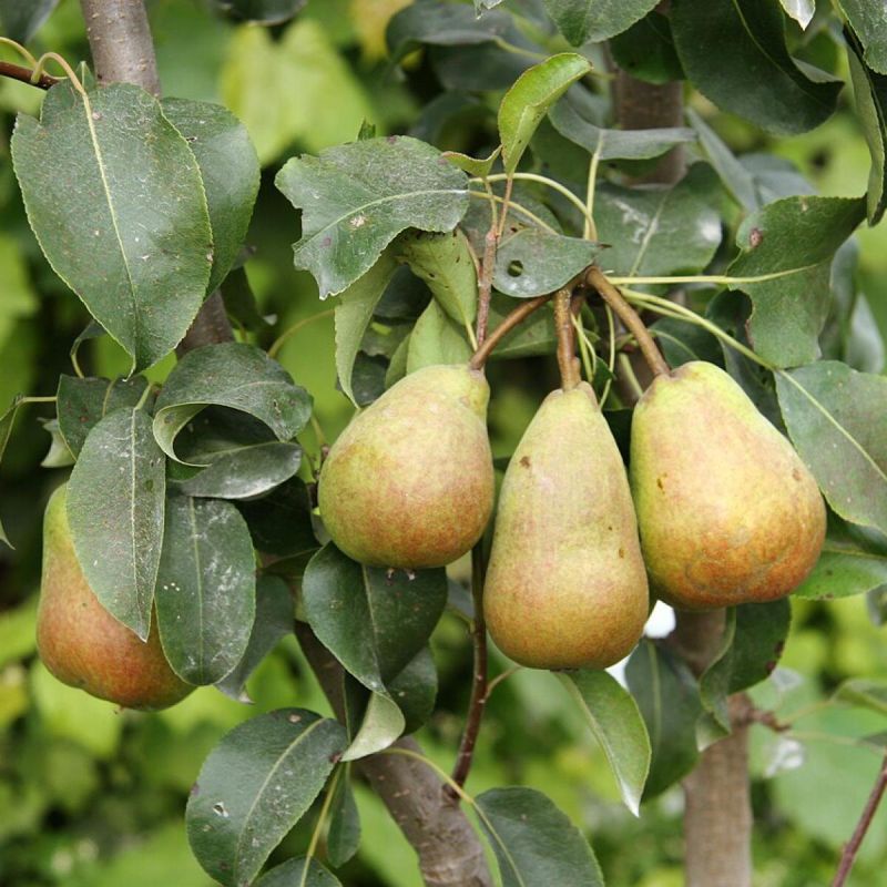 ����� �������� �����? 5 ��������������� ������, ������� ������ ��������