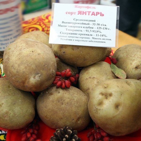 ��������� ������: ��������� ����� ��� ���������������� �������