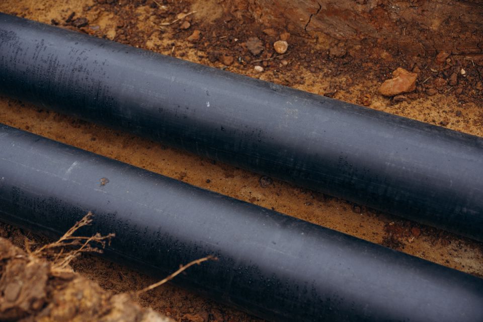 ��� ���� ������������ �������� ������ �� ��������� ��������� �����������