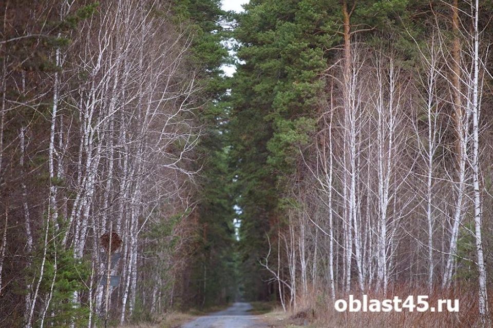 �������� ����� � �� ����� ������������� ������� �� ������ ���������� �������