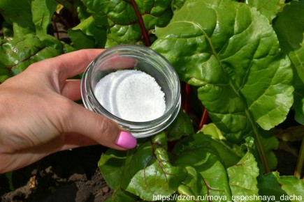 ��� ����� ������������ ������ � ������ ��������� ����� �����������