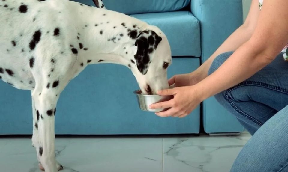 ��� ������������ ��������� ����� ����� �������� ������ ��������