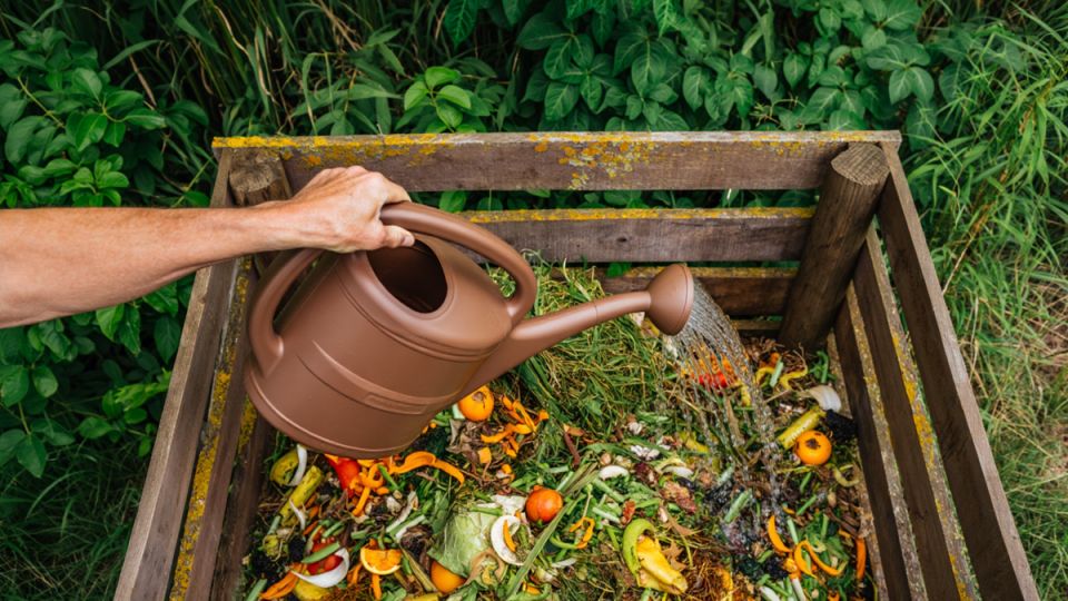 ��� ���������� �� ����������� ������ � ��������� ���: ������� � ����������� ������