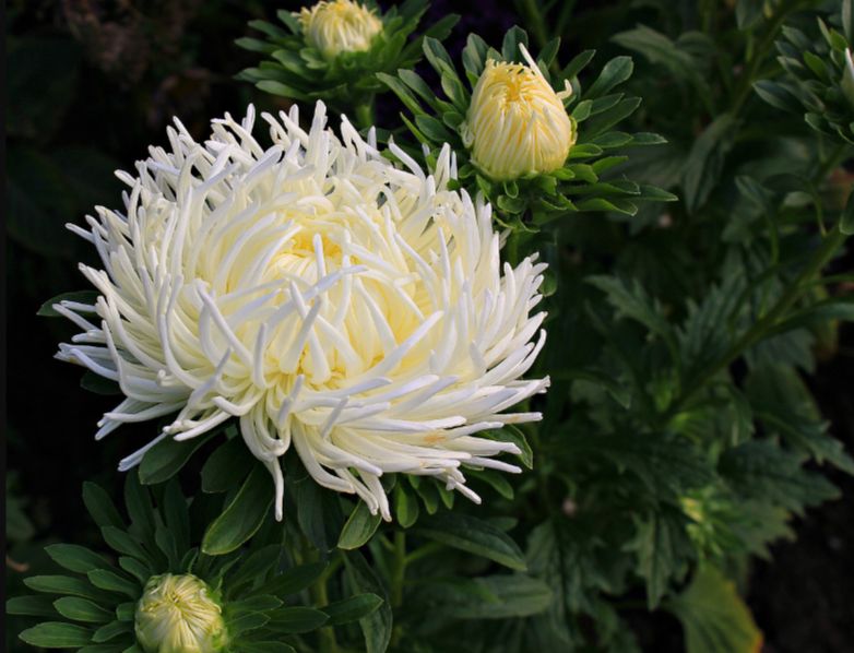 �������� ����� �� ������� � ��������� ���������� ���