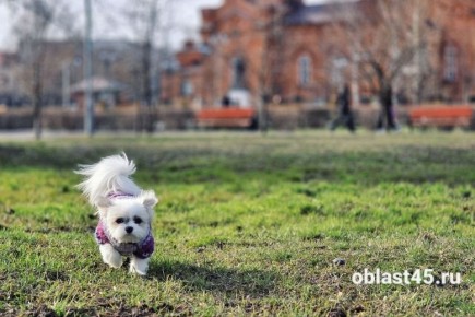 � ���������� ������� ������ �������� ����� �� +18 ��������