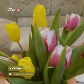 ������ ����, ���������!. ���� � ������� ����� ���������