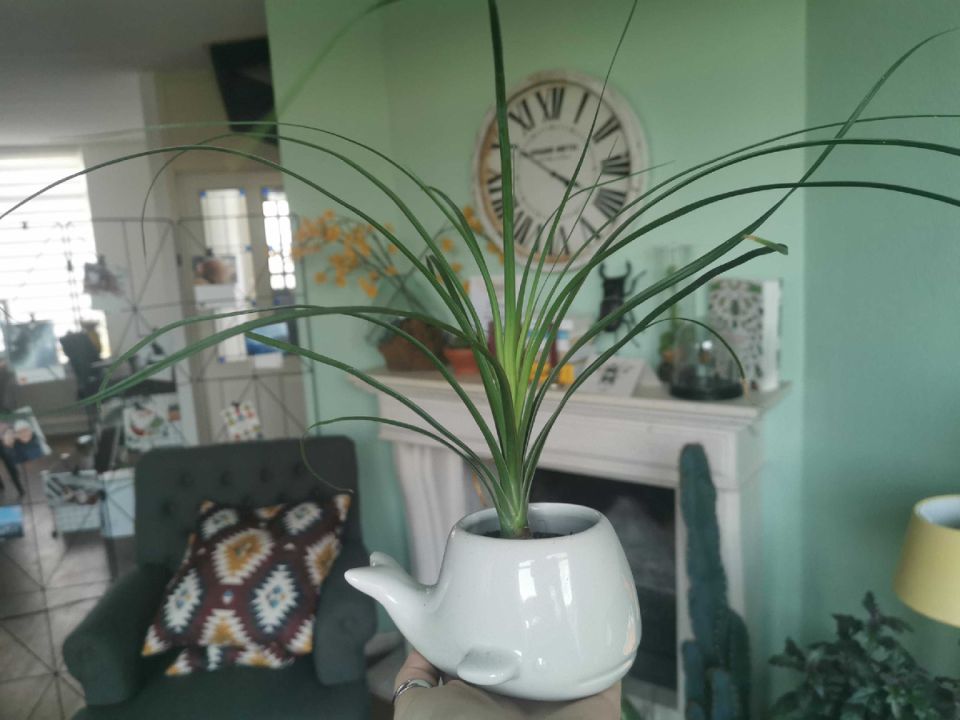 �� ���� � ���������� �������: ��� �������������� ������� � �������� ������