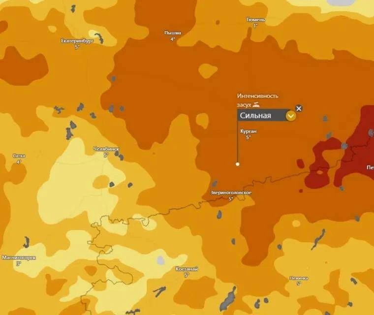 ������ ��������� ���������� �������