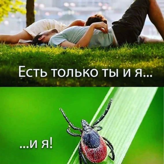 � ������ ������ � ���������� ������� ����� �������� 237 �������