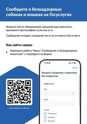 ������ ������� ����� ���������� �������� �� ������������ ������������ ������ � �������