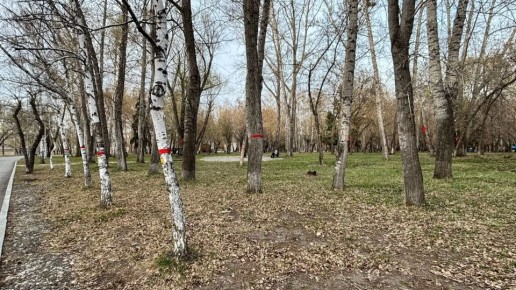 ������� ����� �� �������� � ����� ��������� ��������� ��� ����� ������