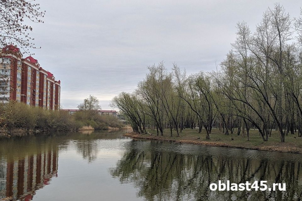 � ������� �������� ����� ������