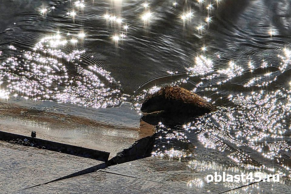 ������� ������ � ������� �������� ���� ������