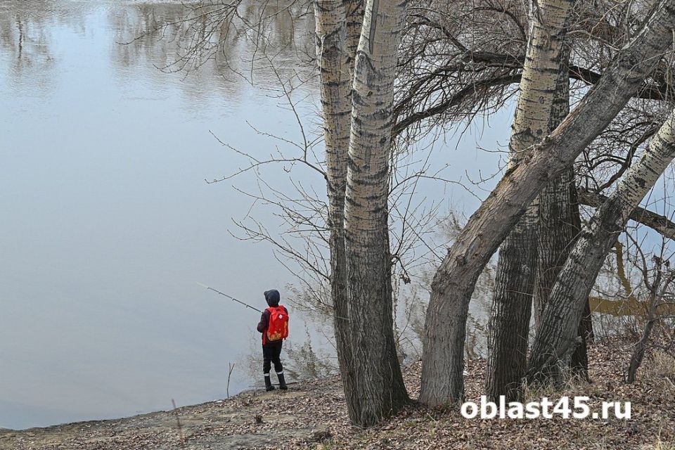 ���� �� ������ � ����� ��� ����: � ��� ������ ���������� ������ � �������� ������� ����