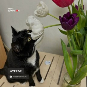 ������ ����, ���������!. ������� ���� � ������� ��������� �� +14�