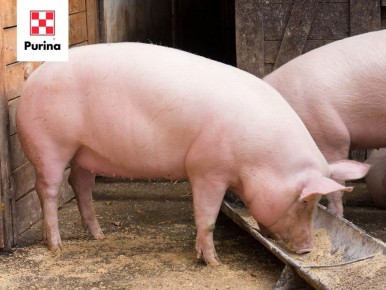 ��� ��������� ��������� ������: ������� �� ���������