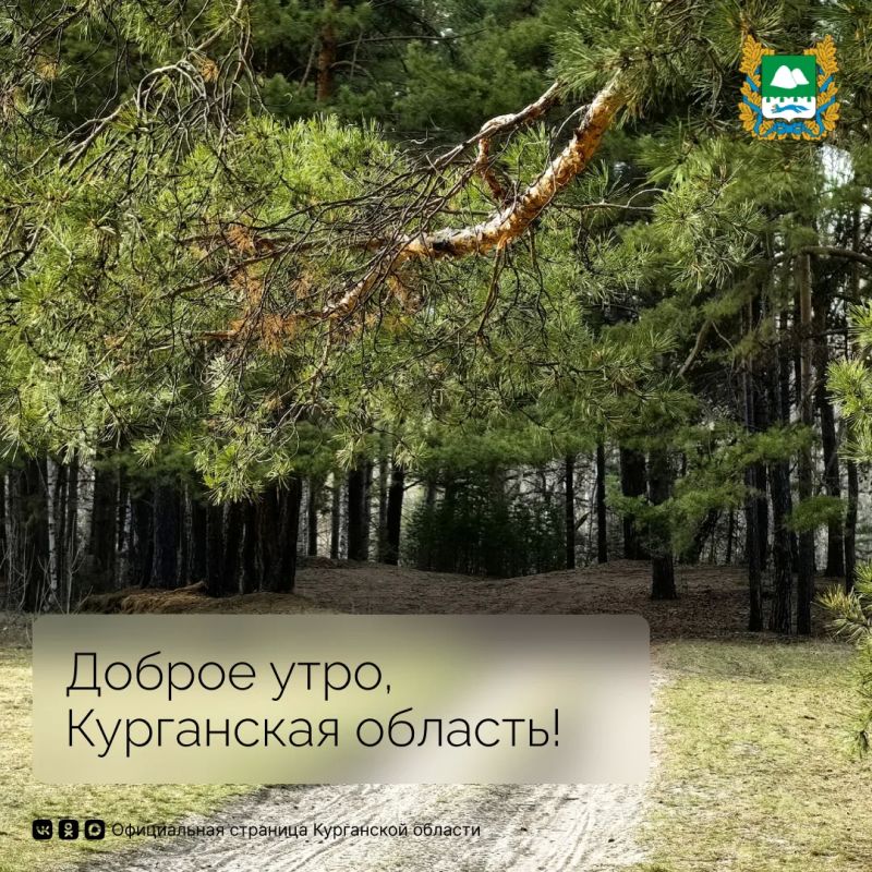 ������ ����, ���������� �������!