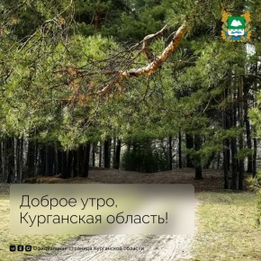 ������ ����, ���������� �������!