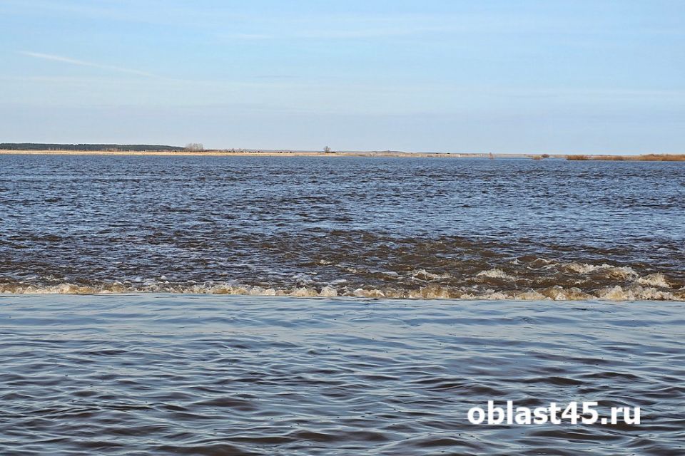 ������� ���� � ���������� ������ ��������� 5 ������