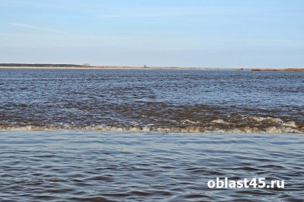 ������� ���� � ���������� ������ ��������� 5 ������