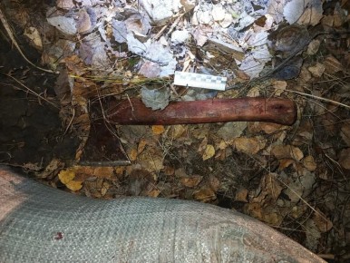 � �������� ������� �������� ���� �������, ���������� � ���������� ���������� ����� �� �����