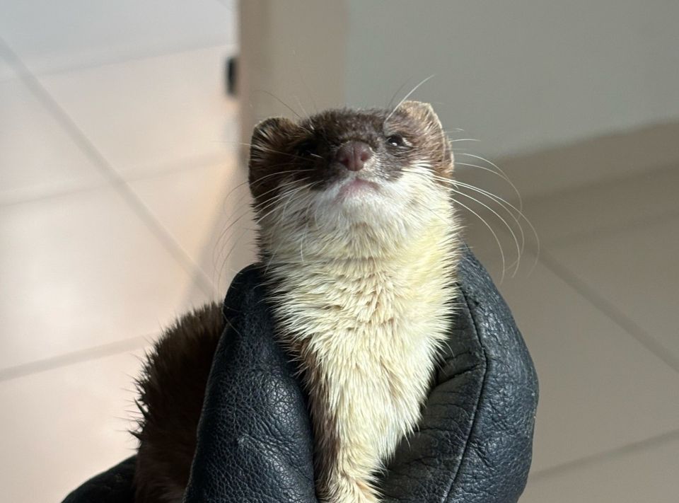 � ������� ������ ������� �����, ��������� �� ��������� � ��������