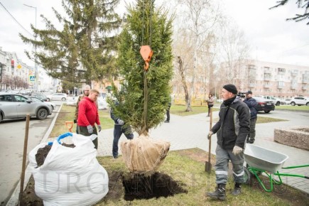 � ������� � ������ ��������� �� ���������� ������ �������� ������� �������� � ������� � ������, ����� ������-�������� ����