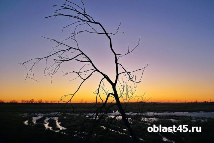 � ���������� ������� ����� ����� ���������� �� -3 ��������