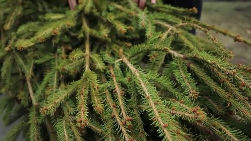 � ������� ���������� �������� �������������� ��������