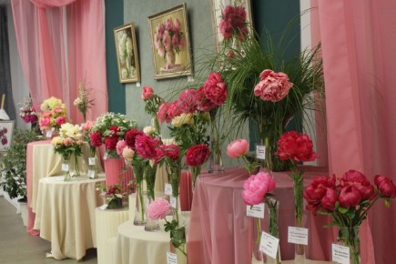 ���������� ������: �������� � ������������ ���� 2025 ����