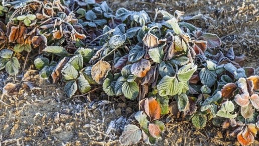 ��� ���������� ���������� �� ��������: ������ ��� ���������