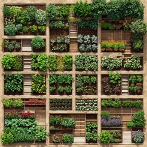 ������� ������������� ������ � ������������� �������: ��� ������� ������