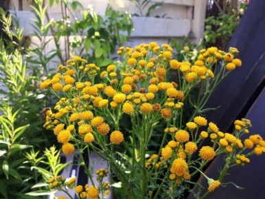 �� ������ ������: ��� ���������� ���������� � ����������� ��� ���������