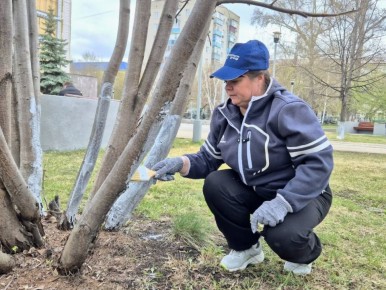 � �������� �������, 25 ������, ������ ������������� � �������������� ����������, ��������������� �� ���������� �������� ������