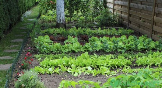 ��� ������� ������ ������ � ����: 8 ������� ��� ������