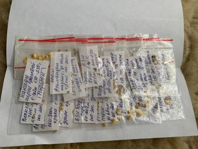 ������� �������� ������: ������������� ������ ������� �� ������� �� ����������� ��������������