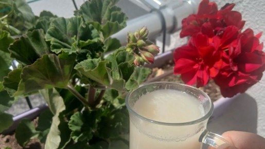 ��� ���������� ������� ������ ��������: ������� ������ ��� ������ ����������