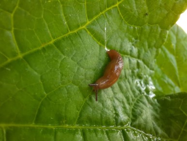 ������ � ����: ��� ���������� � ������� ������� ����������