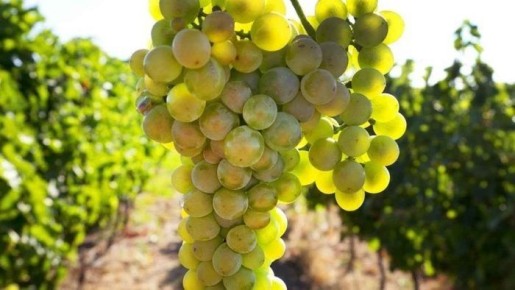 ������� ��������: ��� ��������� ��������� ���� ��������� � ���������� ������