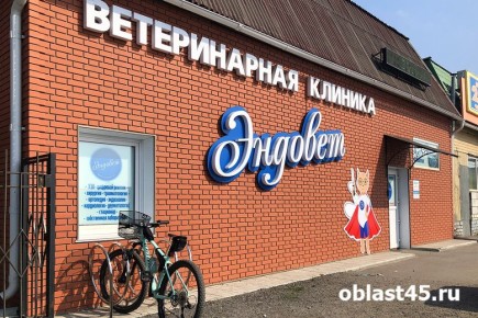 ������������� ���� ������������� �����: ��� ������� ���������� ��������