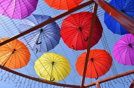 � ������� ����� ��������� ����� �������