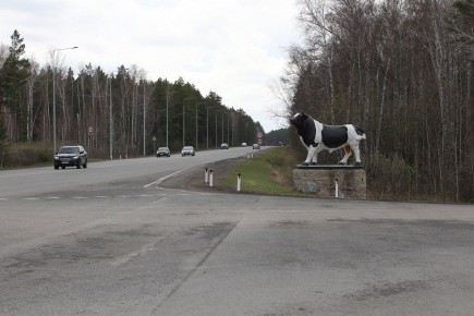 ��������� ���������� ���� � ������� ������� ������� ������ �� �������� ������ ������ ����� 50 ���