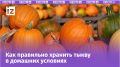 ������� ������ �����: ��� ������� ��������� ����� � ��������� ��� � �������� ��������
