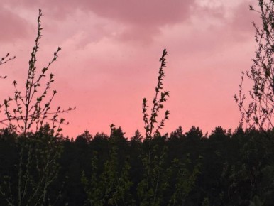 ����� ������: ��������� �����