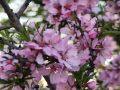 � ������ �����!. � ����� ������� �� ����� �����, �� ����� ���������� �������� ������ ��������