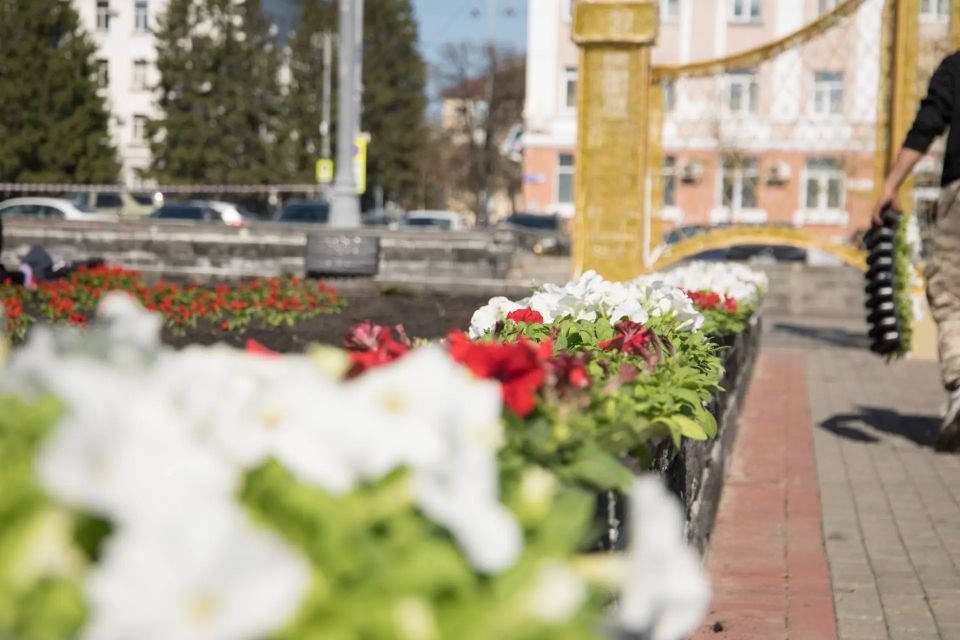 В преддверии Дня Победы в городе продолжается высадка цветочной рассады В преддверии Дня Победы в городе продолжается высадка цветочной рассады