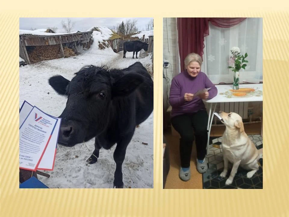 В Избирательной комиссии Курганской области обновлена экспозиция лучших фотографий, посвященных теме выборов В Избирательной комиссии Курганской области обновлена экспозиция лучших фотографий, посвященных теме выборов