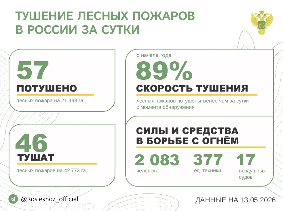 За прошедшие сутки в 18 регионах России потушили 57 лесных пожаров