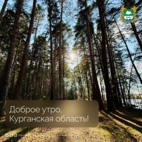 Доброе утро, Курганская область!